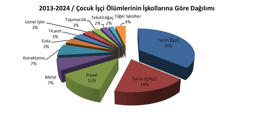 İSİG: Son 12 yılda en az 742 çocuk işçi öldü - Resim : 2