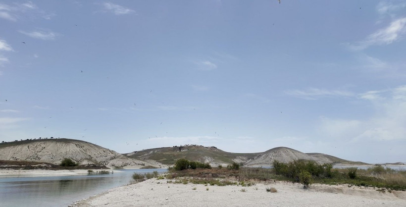 Martıların favori mekânı: Adıyaman'ın 'Martı Adası' - Resim: 3