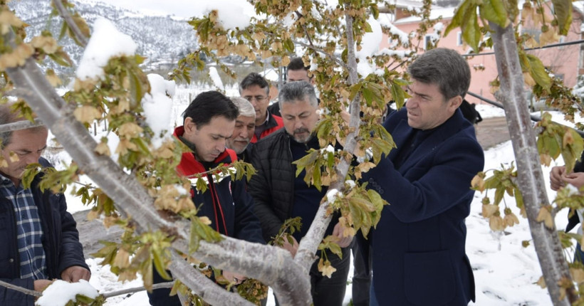 Nisanda 'kara kış' üreticiyi vurdu: Kimse arpadan, meyveden hayır beklemesin - Resim : 1