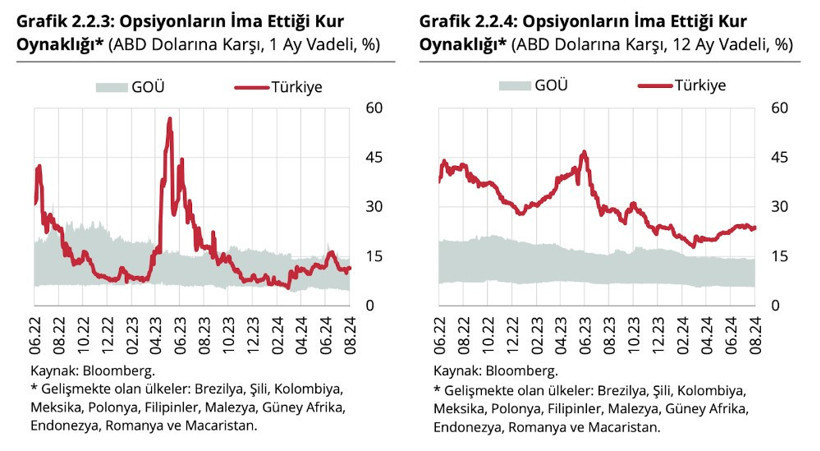 Enflasyon raporunda yer alan stratejik riskler neler? Şirketler bu riskleri nasıl yönetebilir? - Resim : 3