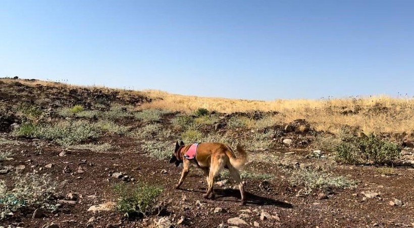 Narin Güran kaybında sıcak gelişme! 1 kişi gözaltına alındı - Resim : 1