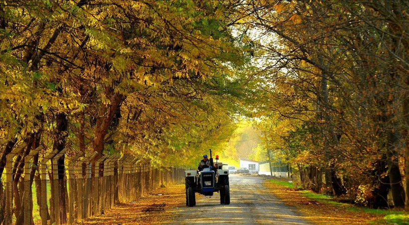 2025 Ramazan Bayramı namaz vakitleri belli oldu | İşte il il namaz saatleri listesi - Resim: 77