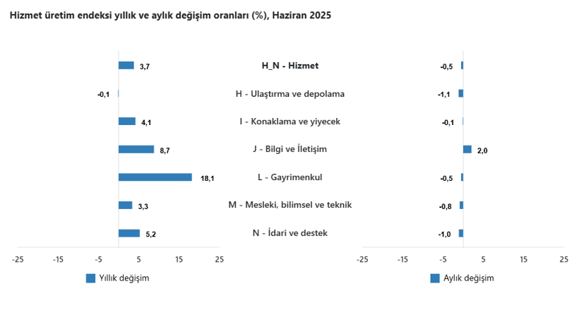 Veriler belli oldu: Hizmet üretim endeksi yıllık yüzde 3,7 arttı - Resim : 3