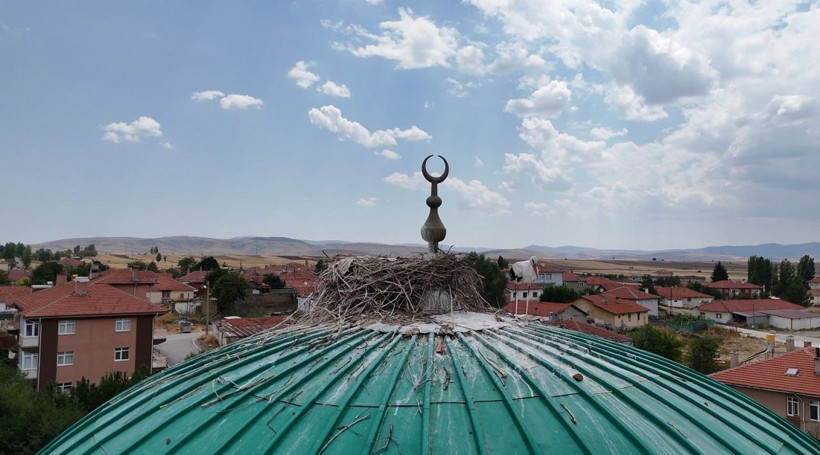 Leyleklerin müdavimi olduğu cami! Kubbesi yıllardır yuva - Resim: 2