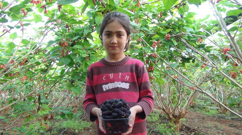 Sadece su istiyor, kilosu 110 lira! - Resim: 4