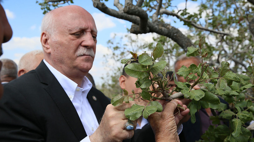 TZOB Başkanı Bayraktar son durumu açıkladı: 65 il don felaketinden olumsuz etkilendi - Resim : 1