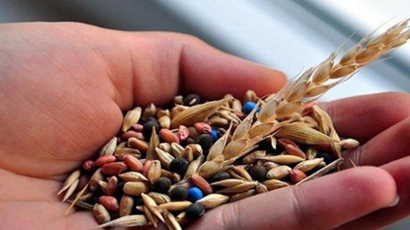 Tohumculuk sektörü pazar payını artırmayı hedefliyor