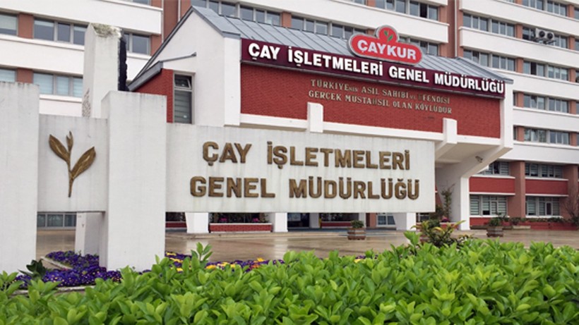 ÇAYKUR bu yıl 591 bin tonu aşkın yaş çay aldı