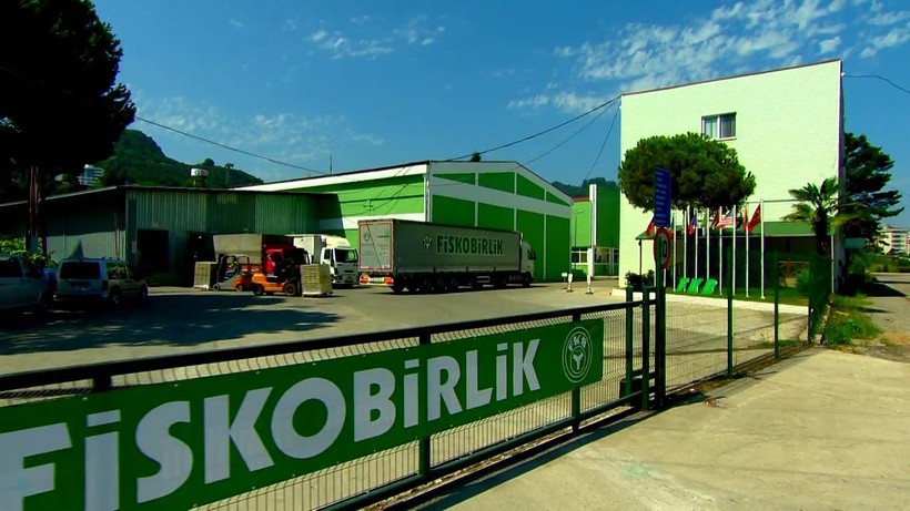 FİSKOBİRLİK fındık alımlarına başladı