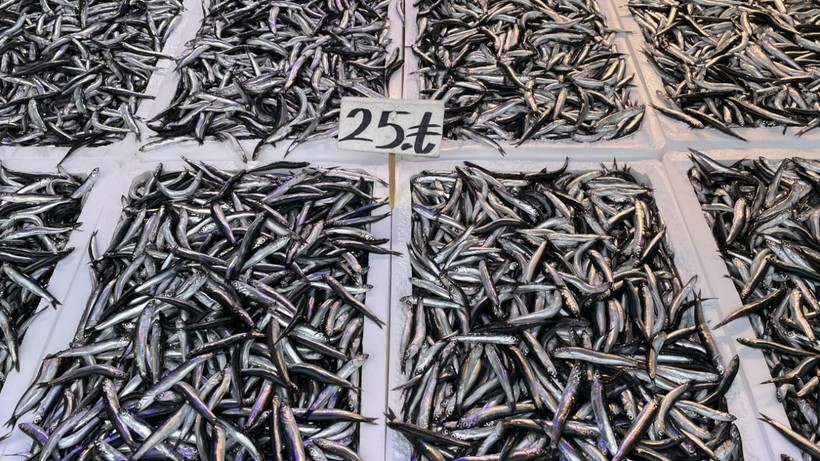 Hamsinin kilogramı 25-50 liradan satılıyor