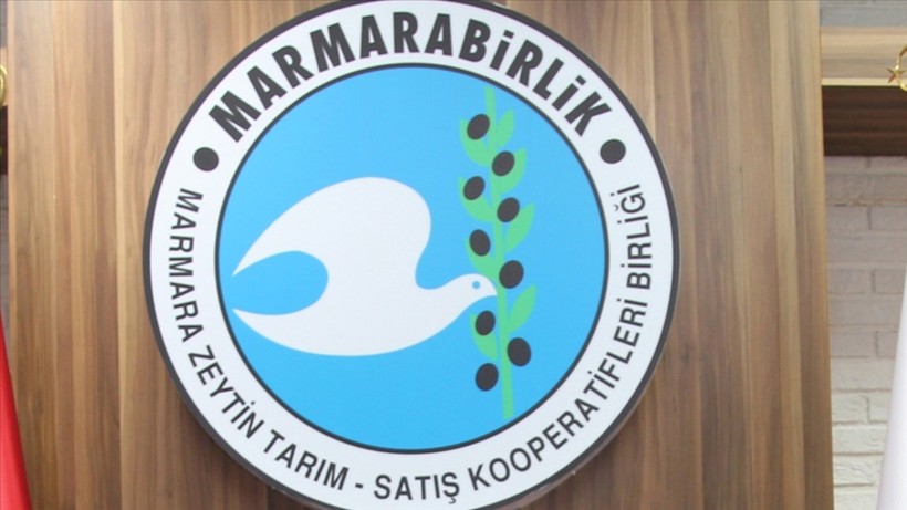 Marmarabirlik ortaklarının ücretlerinin bir kısmını yatıracak
