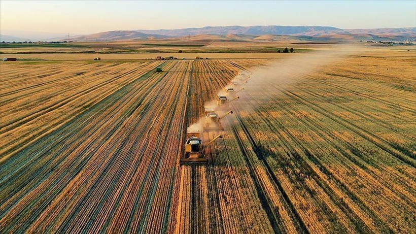 Tarımda üretici enflasyonu yüzde 151,03 oldu