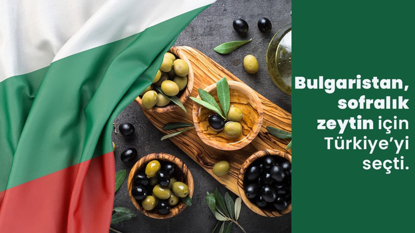 Bulgaristan, sofralık zeytin için Türkiye’yi seçti