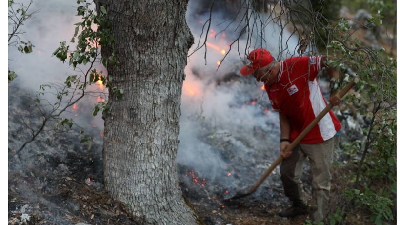 Antalya'daki orman yangını kontrol altına alındı