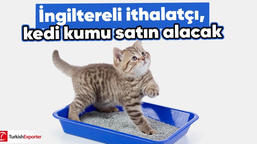 İngiltereli ithalatçı, kedi kumu satın alacak
