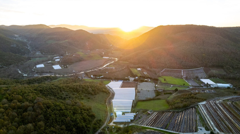Alova Farm'dan yaban mersini üretiminde Fall Creek ile iş birliği