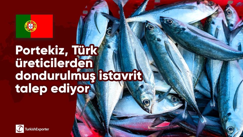 Portekiz, Türk üreticilerden dondurulmuş istavrit talep ediyor