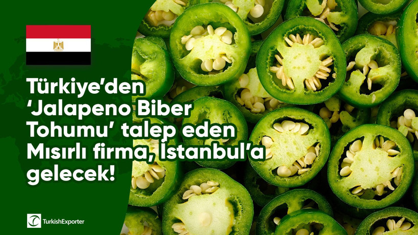 Türkiye’den ‘Jalapeno Biber Tohumu’ talep eden Mısırlı firma, İstanbul’a gelecek!