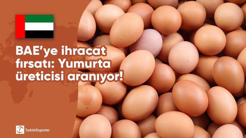 BAE’ye ihracat fırsatı: Yumurta üreticisi aranıyor!