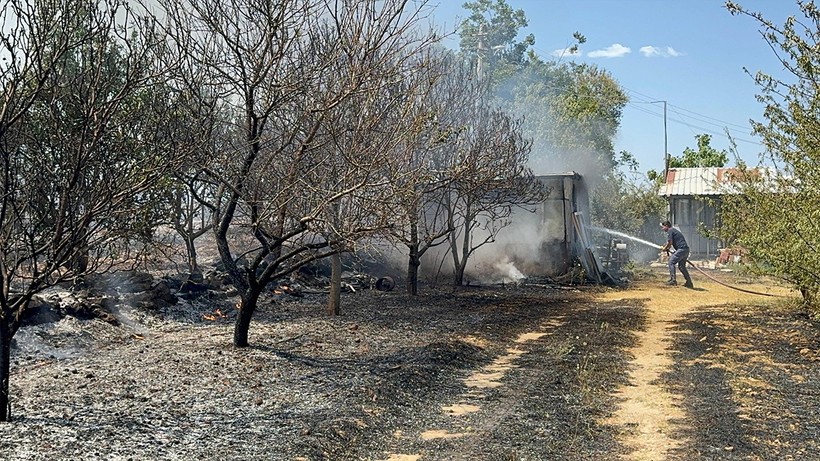 Antalya'da yerleşim yerleri yakınında yangın: Sera ve meyve bahçeleri zarar gördü
