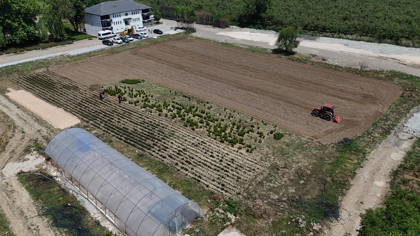 Düzce, tıbbi aromatik bitki üretimine başlıyor