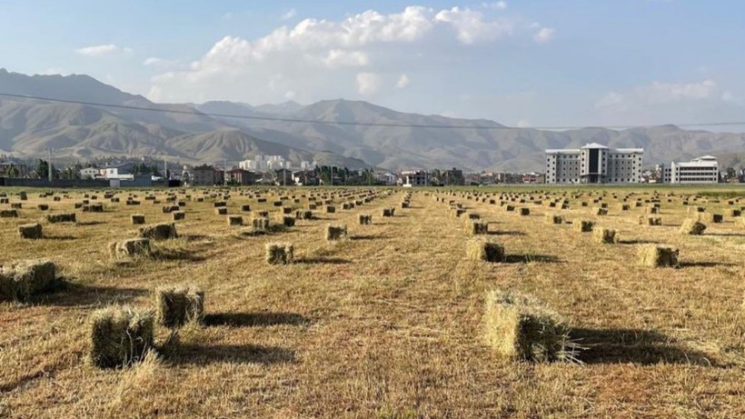 Yüksekova’da yağışlar tarımda verimliliği artırdı