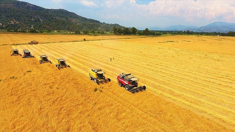 Buğdayda ithalat yasağı 15 Ekim'den önce kaldırılmayacak