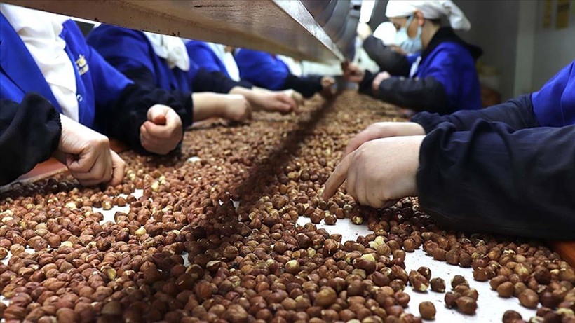Adem: Fındık taban fiyatı enflasyon hesabıyla 180 lira olmalı
