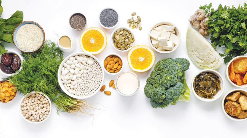 Türkiye bitkisel proteinin Ar-Ge merkezi oluyor