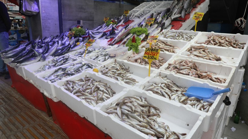 Karadeniz'de palamut fiyatları 3'e katlandı