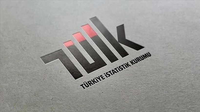 Türkiye'deki 20 bin 110 mali aracı kuruluşun 2023 yılı üretim değeri 2,56 trilyon lira oldu