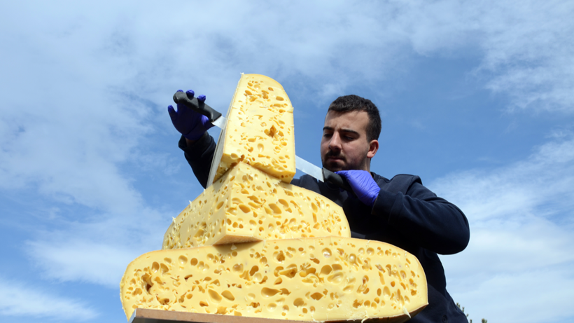 Sezonun ilk gravyer peyniri tescilli olarak satılacak
