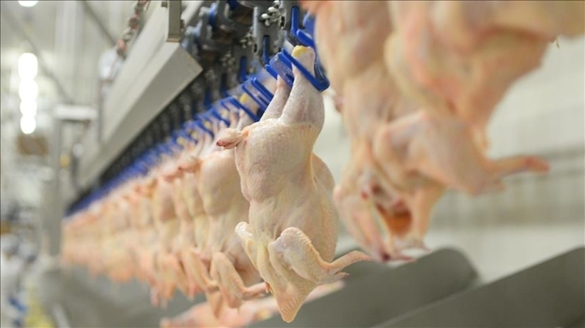 Beyaz et sektörüne yönelik rekabet soruşturmasında yeni gelişme