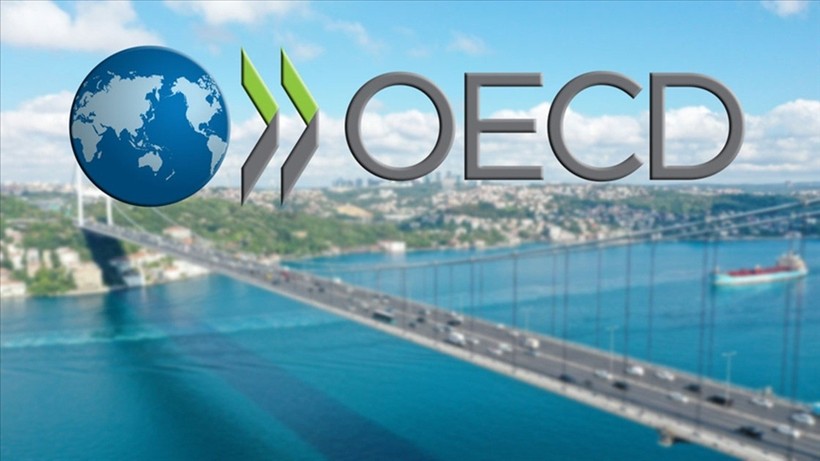 OECD, Türkiye'nin 2025 büyüme ve enflasyon tahminlerini güncelledi