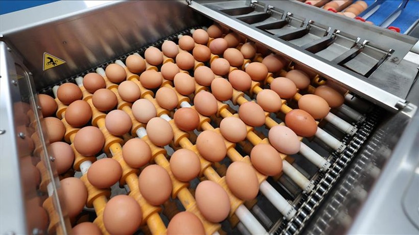 ABD Tarım Bakanı Rollins'ten Türkiye açıklaması