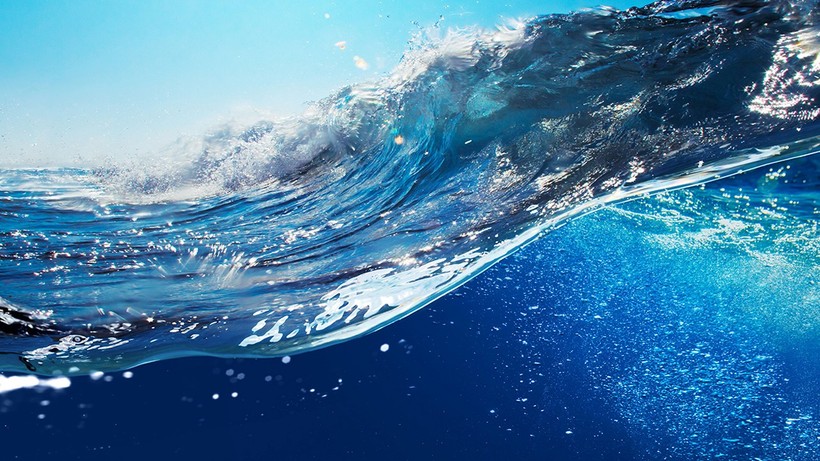 Canbay: Deniz suyu arıtımı sürdürülebilir tarım için kaçınılmaz