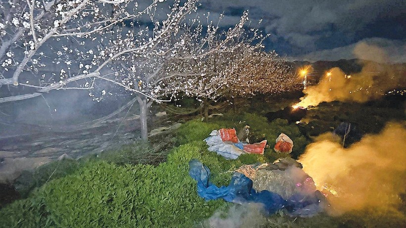 Zirai don ürünü yaktı geçti