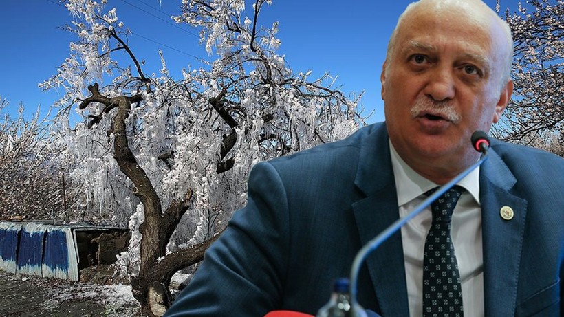 Tarımda alarm zilleri! Zirai don felaketi sonrası TZOB Başkanı Bayraktar'dan fon çağrısı