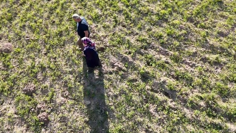 Meyve ağaçları zirai dondan etkilenen çiftçinin umudu hububatta