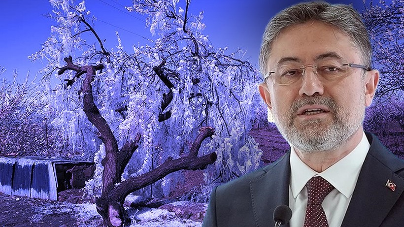 Tarım ve Orman Bakanı İbrahim Yumaklı tek tek açıkladı: İşte zirai dondan en çok etkilenen ürünler!