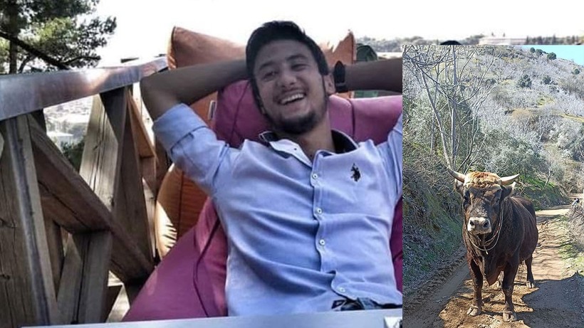 Aydın'da boğa saldırısına uğrayan genç hayatını kaybetti