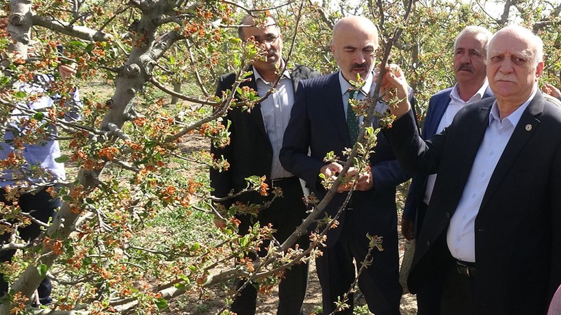 Zirai don sadece bu yılı etkilemedi! TZOB Başkanı Bayraktar yeni tehdidi açıkladı