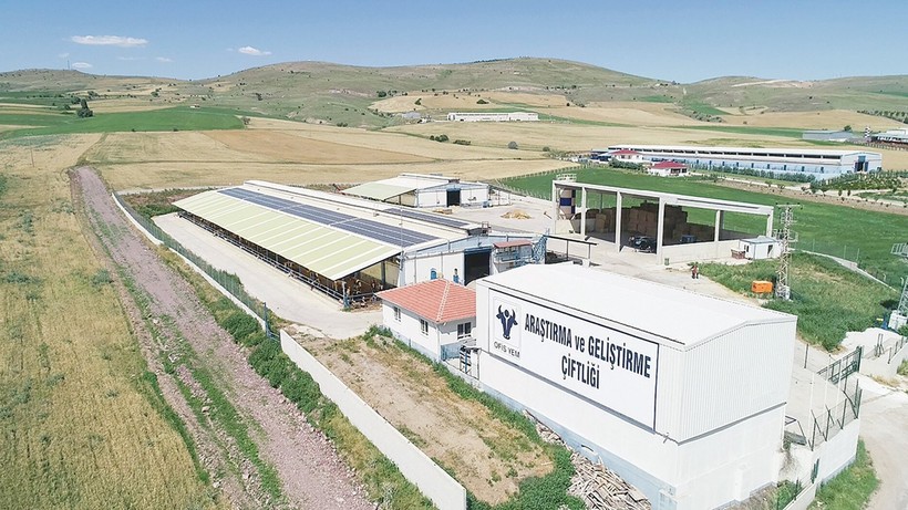 Ofis Yem’den yatırım hamlesi: 5 yılda 50 milyon dolar yatırım yapacak