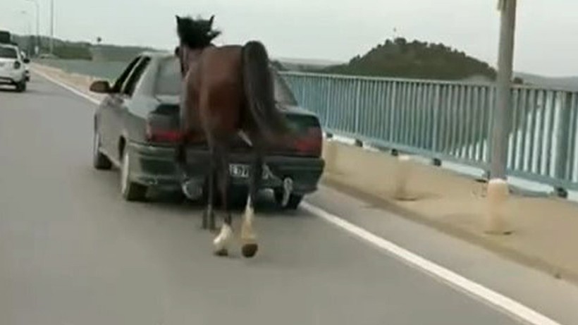 Atı otomobile bağlayarak trafiğe çıktı, cezası kesildi