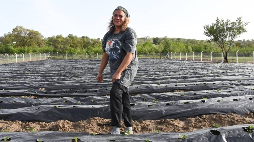 Köylerine dönüp tarıma başlayan çift şimdi taleplere yetişemiyor