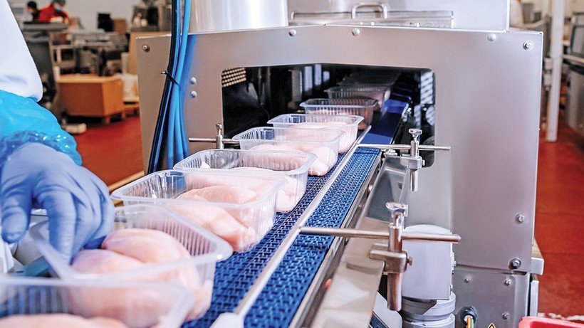 Et üreticilerinden büyük sıçrama: İSO 500'de protein atağı