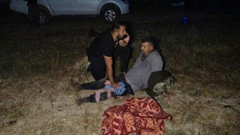 Antalya Manavgat'ta aslan saldırısı sonrası hayvan parkı mühürlendi!
