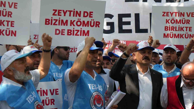 Maden yasasına destek: Köylerimiz ve zeytinlerimiz yok olmayacak