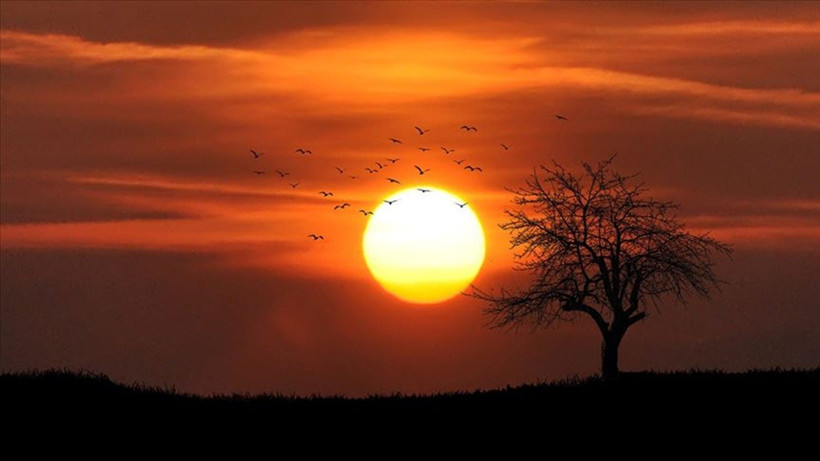Türkiye resmen kavruluyor! Gölgedeki ölçümlerde bile 44 derece: 42 ilde alarm verildi