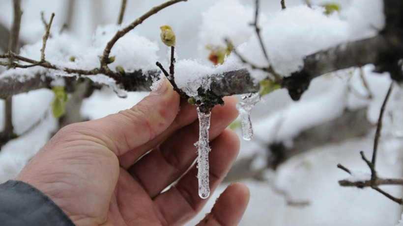 Meteorolojiden zirai don uyarısı